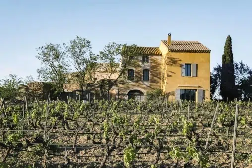 le terroir du Pradet